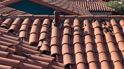 Paramount Kanga Roof