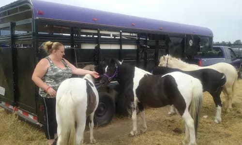 PeakMaster Roofing Services - Photo 5