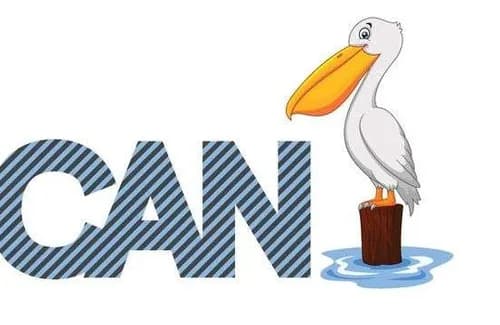 Pelican Power Construction