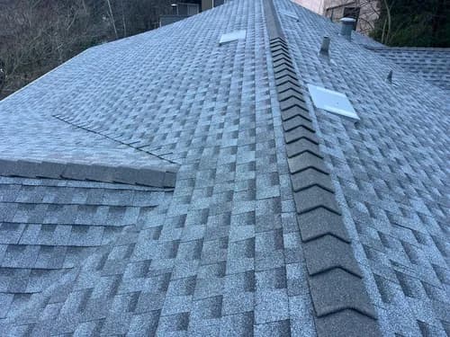 Pinnacle Roofing Professionals - Photo 1