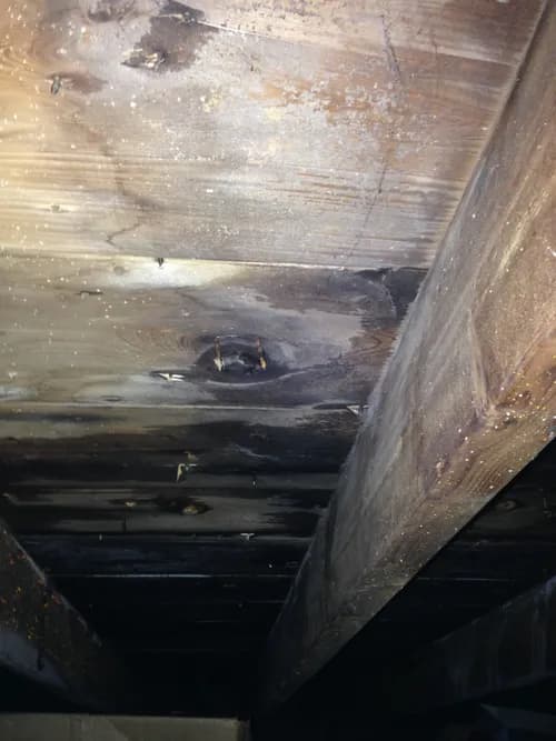 Premier Roofing Brookfield - Photo 4