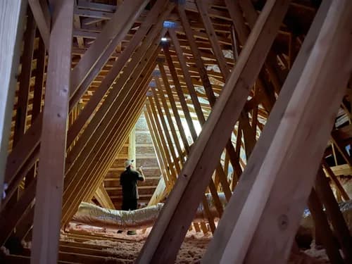 Presidential Inspections