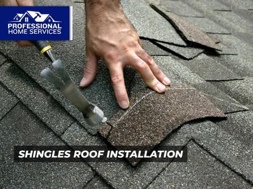 Professional Home Services - Photo 4