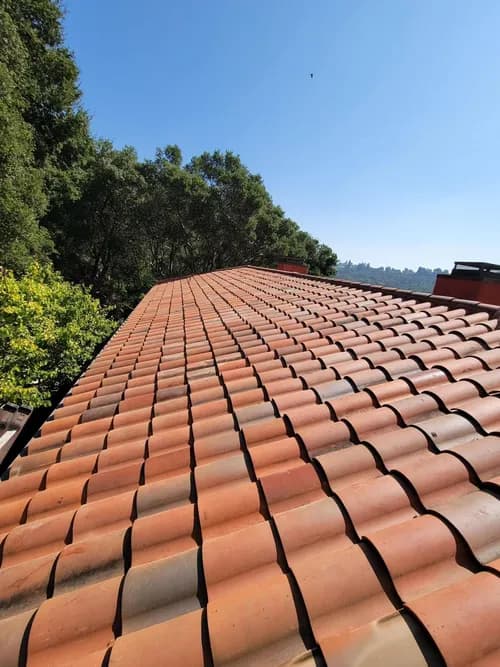 Rango Roofing Company