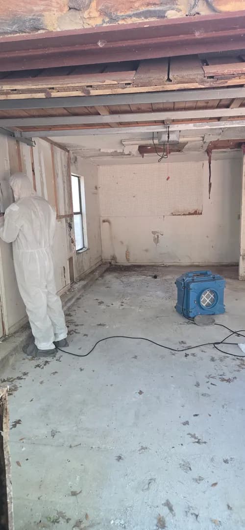 Rapid Restoration Texas