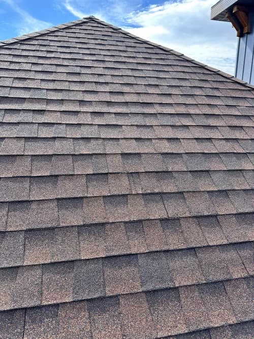 Raptor Roofing - Photo 1