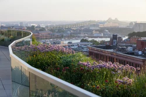 Recover Green Roofs