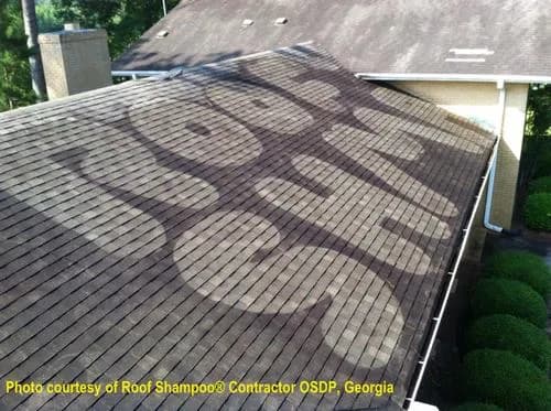 Referred Roof Cleaning & Exteriors - Photo 3