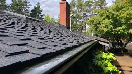 Reliance Roof Pros - Photo 1