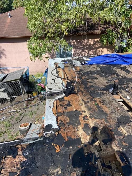 Resonance Roof Cleaning - Photo 2