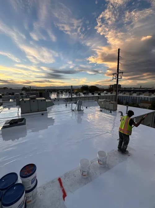 Rize Exterior Services