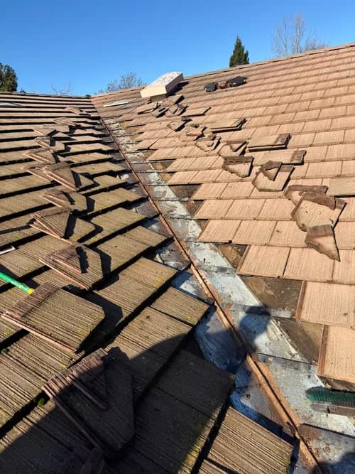 Roof City Inc - Photo 1