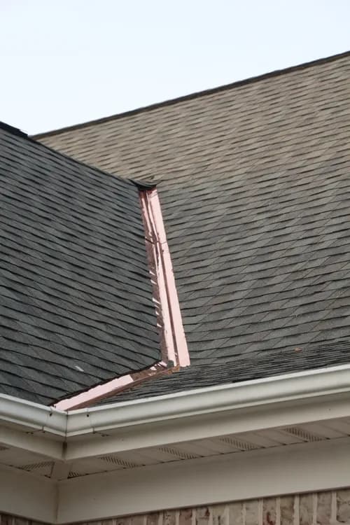 Roof Dawgs - Photo 2