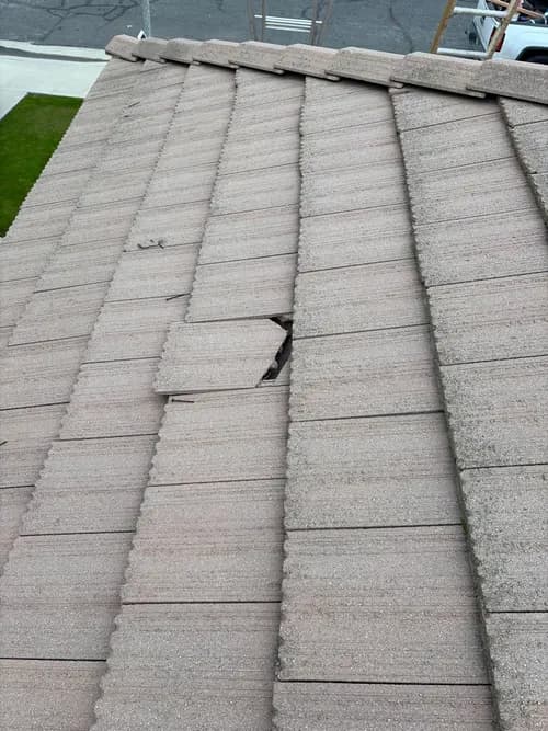 Roof On Brand - Photo 5