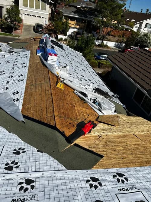 Roof Raiders - Photo 3