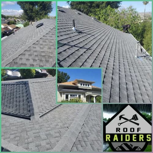 Roof Raiders - Photo 2