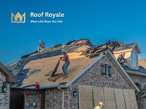 Roof Royale - Photo 5