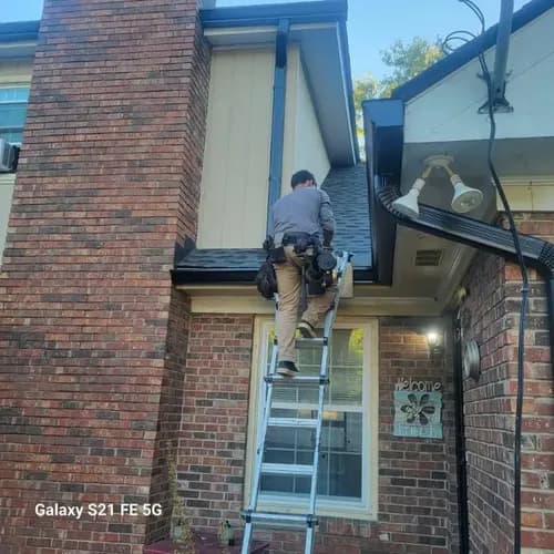 Roof Squirrel - Photo 1