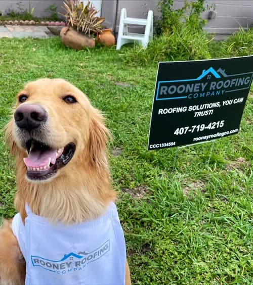 Rooney Roofing Company - Photo 1