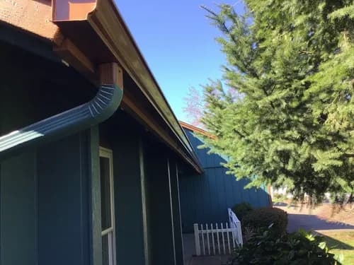 Salem Oregon Gutter Service - Photo 3