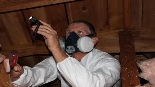 Shelton Home Inspections Inc.