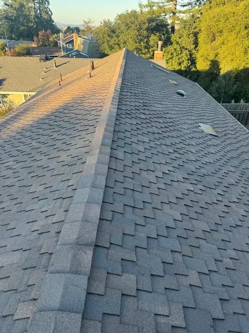 Simon Says Roofing - Photo 1