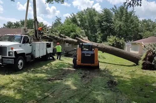 Summit Restoration - Photo 4