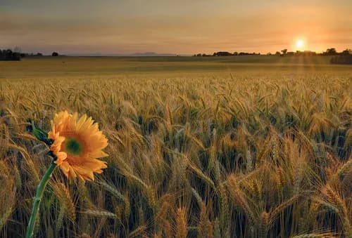 Sunflower State Exteriors LLC - Photo 2