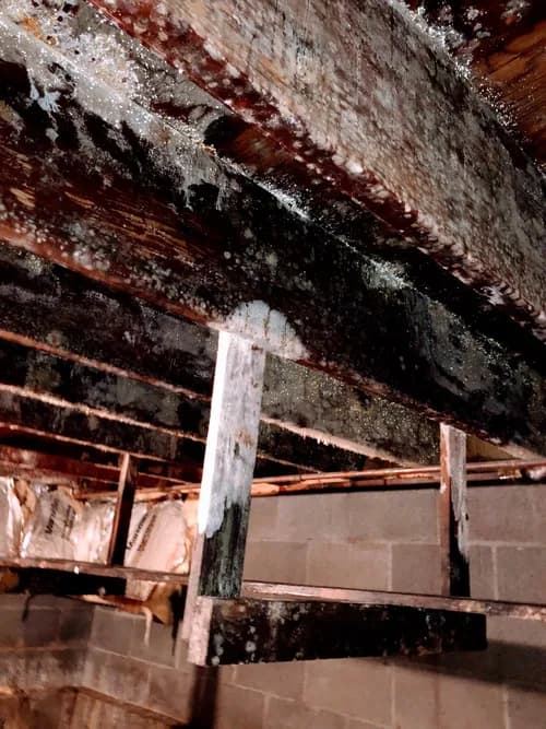 Taylored Restoration - Photo 1