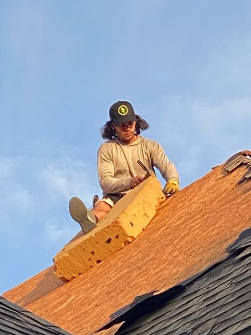 Texas Roof Shield - Photo 3