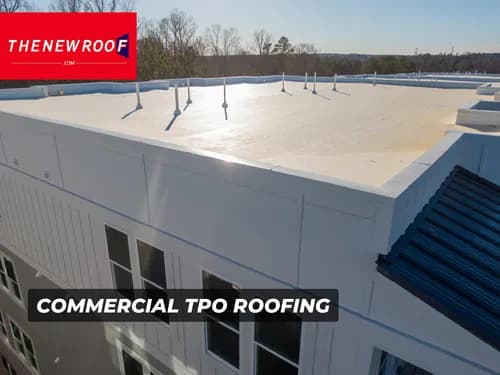 The New Roof - Photo 2