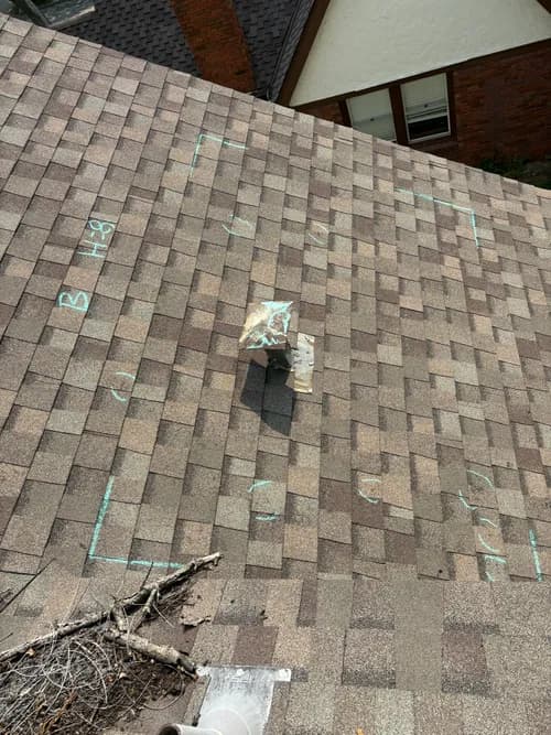 The Roof D LLC - Photo 2