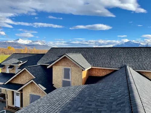 TOPP Roofing & Construction LLC