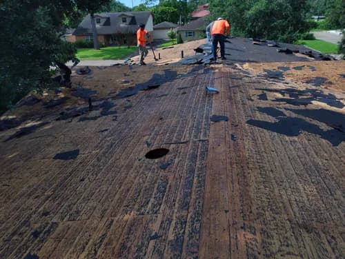 Tres Coronas Enterprises - Photo 4