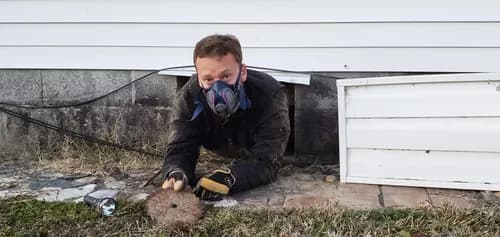 Triangle Inspection Group