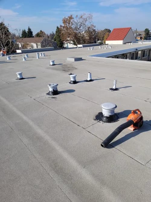 Triple T Rejuvenation - Photo 4