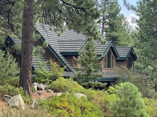 True Green Roofing Solutions