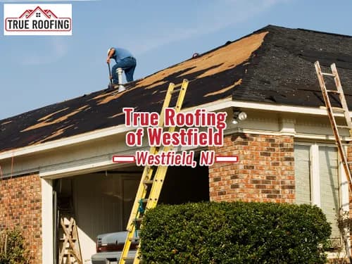 True Roofing of Westfield - Photo 3