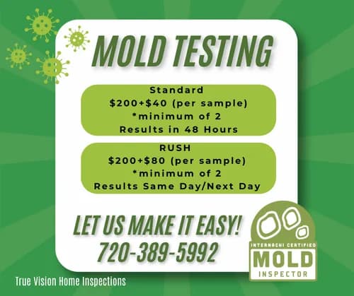 True Vision Home Inspections