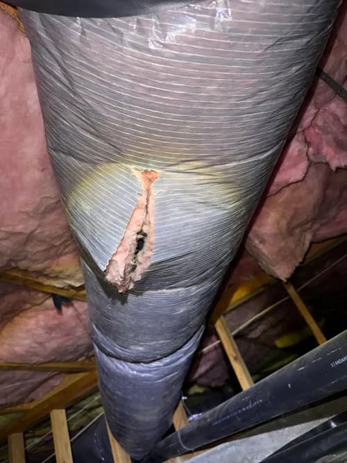 Upright Inspections - Photo 2