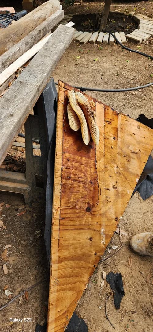 V.L. Garza Roofing & Remodeling, Inc. - Photo 4