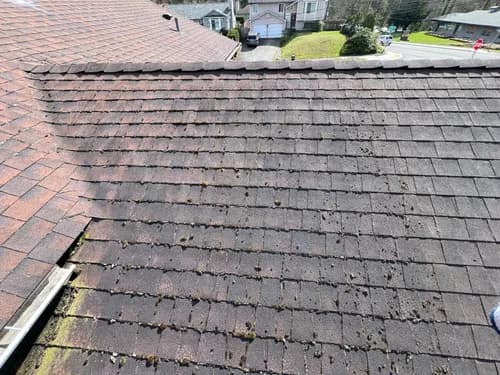 Vasa Construction LLC - Photo 4