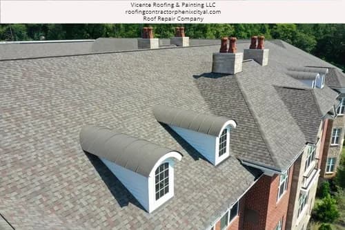 Vicente Roofing Painting
