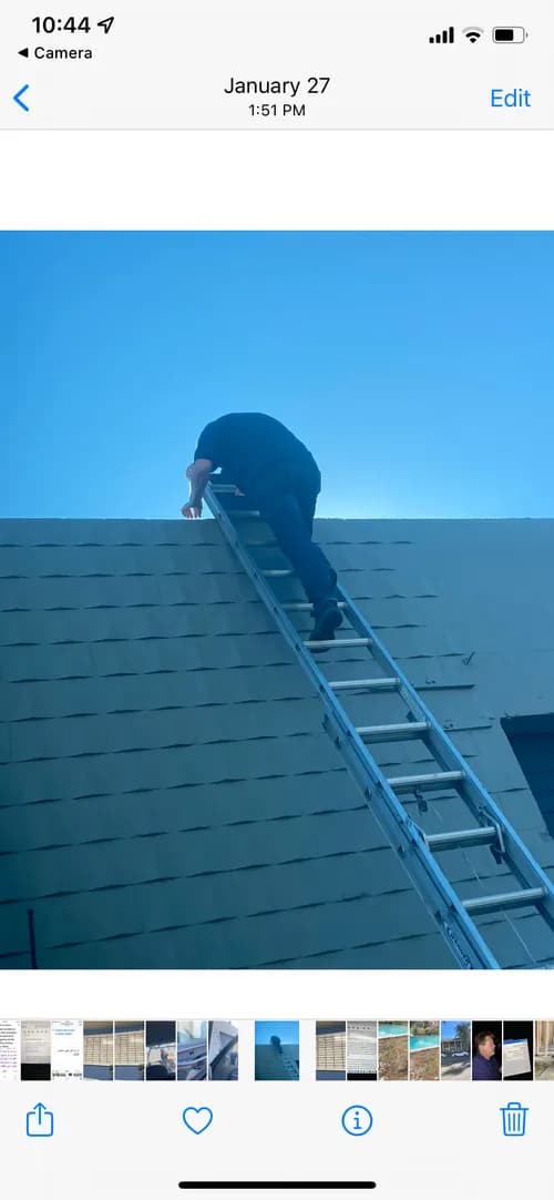 Wilson Pacific Roofing