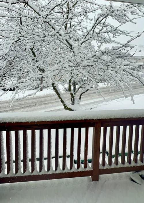 Your Local Roofer - Photo 5