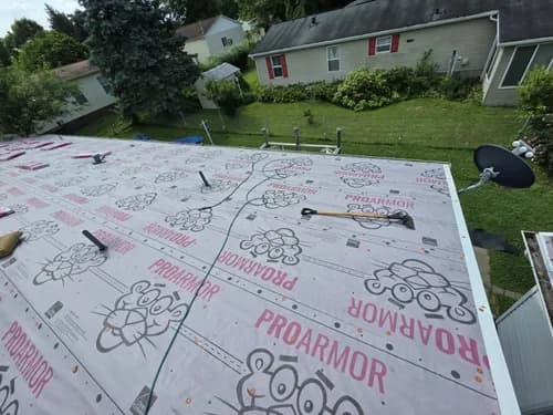 Above The Cut Restoration - Photo 3