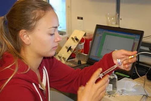 Absolute Safeguard Home Inspection Services, Inc. - Photo 2