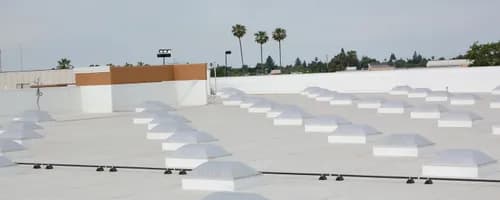 Absolute Urethane - Photo 1
