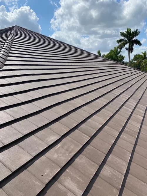 Advance Roofing & Waterproofing FL