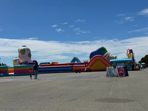 Advanced Roofing Services, Inc.